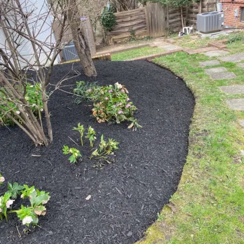 diaz-landscaping-services (27)